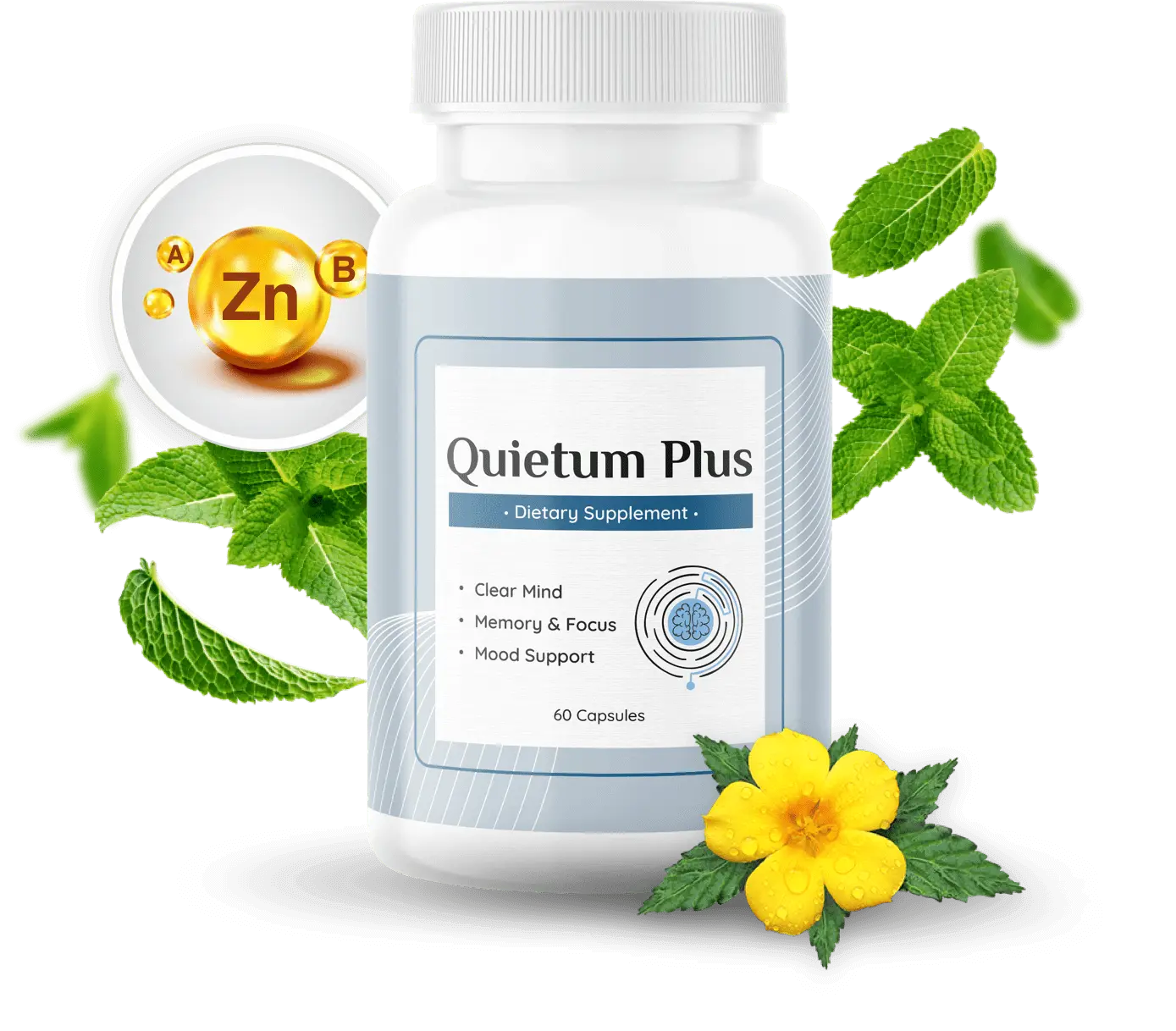 Quietum Plus® | Tinnitus & Hearing Supplement Official Site